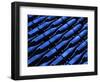 Champagne Bottles Waiting for Labels at Argyle Winery-Charles O'Rear-Framed Photographic Print