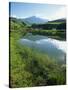 Champagne Castle Valley, South Africa, Africa-Alain Evrard-Stretched Canvas