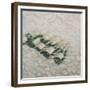 Champagne Cooling, 2012-Lincoln Seligman-Framed Giclee Print