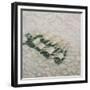 Champagne Cooling, 2012-Lincoln Seligman-Framed Giclee Print
