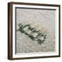 Champagne Cooling, 2012-Lincoln Seligman-Framed Giclee Print