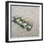 Champagne Cooling, 2012-Lincoln Seligman-Framed Giclee Print