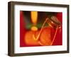 Champagne Cork and Cover-Peter Adams-Framed Photographic Print