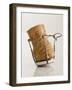 Champagne Cork-Tom Grill-Framed Photographic Print