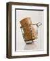 Champagne Cork-Tom Grill-Framed Photographic Print