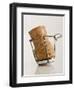 Champagne Cork-Tom Grill-Framed Photographic Print