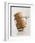 Champagne Cork-Tom Grill-Framed Photographic Print