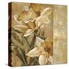 Champagne Daffodils I-Linda Thompson-Stretched Canvas