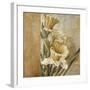 Champagne Daffodils II-Linda Thompson-Framed Giclee Print