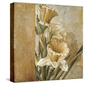 Champagne Daffodils II-Linda Thompson-Stretched Canvas