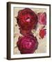 Champagne Floral I-Collezione Botanica-Framed Giclee Print