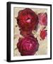 Champagne Floral I-Collezione Botanica-Framed Giclee Print