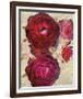 Champagne Floral I-Collezione Botanica-Framed Giclee Print