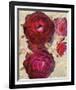 Champagne Floral I-Collezione Botanica-Framed Giclee Print