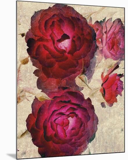 Champagne Floral I-Collezione Botanica-Mounted Giclee Print