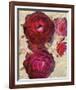 Champagne Floral I-Collezione Botanica-Framed Giclee Print