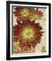 Champagne Floral III-Collezione Botanica-Framed Giclee Print