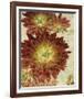 Champagne Floral III-Collezione Botanica-Framed Giclee Print