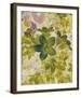 Champagne Floral IV-Collezione Botanica-Framed Giclee Print