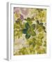 Champagne Floral IV-Collezione Botanica-Framed Giclee Print