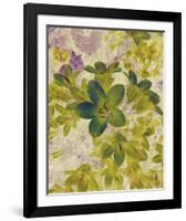 Champagne Floral IV-Collezione Botanica-Framed Giclee Print