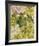 Champagne Floral IV-Collezione Botanica-Framed Giclee Print