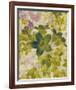 Champagne Floral IV-Collezione Botanica-Framed Giclee Print