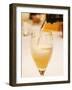 Champagne Flute with Gosset Grand Reserve Champagne, Restaurant Les Berceaux, Patrick Michelon-Per Karlsson-Framed Photographic Print