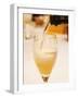 Champagne Flute with Gosset Grand Reserve Champagne, Restaurant Les Berceaux, Patrick Michelon-Per Karlsson-Framed Photographic Print