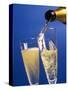 Champagne glass and bottle-null-Stretched Canvas