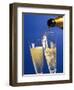 Champagne glass and bottle-null-Framed Photographic Print