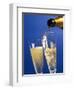 Champagne glass and bottle-null-Framed Photographic Print