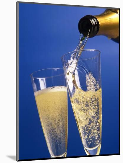 Champagne glass and bottle-null-Mounted Photographic Print