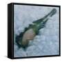 Champagne on Ice, 2012-Lincoln Seligman-Framed Stretched Canvas