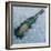 Champagne on Ice, 2012-Lincoln Seligman-Framed Giclee Print