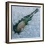 Champagne on Ice, 2012-Lincoln Seligman-Framed Giclee Print