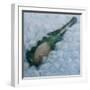 Champagne on Ice, 2012-Lincoln Seligman-Framed Giclee Print