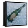 Champagne on Ice, 2012-Lincoln Seligman-Framed Stretched Canvas