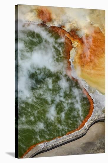 Champagne Pool and Artists Palette, Waiotapu Thermal Reserve, Rotorua, North Island, New Zealand-David Wall-Stretched Canvas