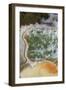 Champagne Pool and Artists Palette, Waiotapu Thermal Reserve, Rotorua, North Island, New Zealand-David Wall-Framed Photographic Print