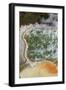 Champagne Pool and Artists Palette, Waiotapu Thermal Reserve, Rotorua, North Island, New Zealand-David Wall-Framed Photographic Print