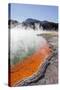 Champagne Pool, Wai-O-Tapu Thermal Wonderland, Bay of Plenty, North Island, New Zealand-Rainer Mirau-Stretched Canvas