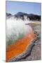 Champagne Pool, Wai-O-Tapu Thermal Wonderland, Bay of Plenty, North Island, New Zealand-Rainer Mirau-Mounted Photographic Print