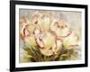 Champagne Red Tulips-Igor Levashov-Framed Art Print