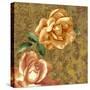 Champagne Rose-Bill Jackson-Stretched Canvas