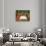 Champagne Toast-Andrea Landini-Giclee Print displayed on a wall