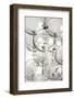 Champagne tower_7-1x Studio III-Framed Photographic Print