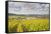 Champagne Vineyards Above the Village of Baroville in the Cote Des Bar Area of Aube-Julian Elliott-Framed Stretched Canvas