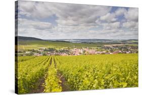 Champagne Vineyards Above the Village of Baroville in the Cote Des Bar Area of Aube-Julian Elliott-Stretched Canvas