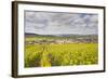 Champagne Vineyards Above the Village of Baroville in the Cote Des Bar Area of Aube-Julian Elliott-Framed Photographic Print